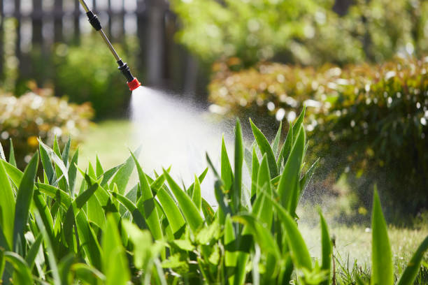 24/7 Emergency Mosquito Control experts in Lincoln Village, OH