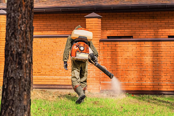 Trusted Termite Control service in Lincoln Village, OH - Nex Pest Control